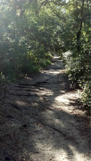 2012-06-18_17-51-00_778