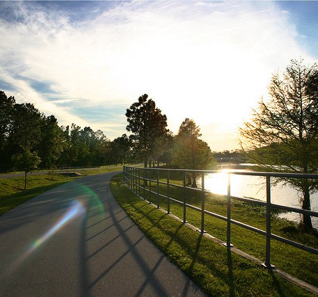 Our running trail on a good sunny day