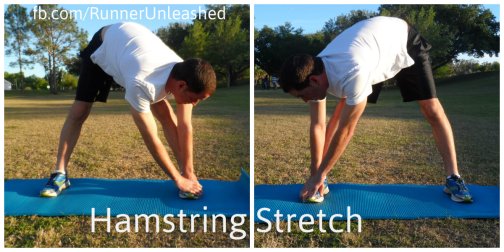 hamstring
