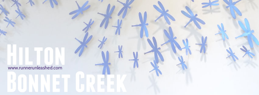 facebook-cover-blankbc