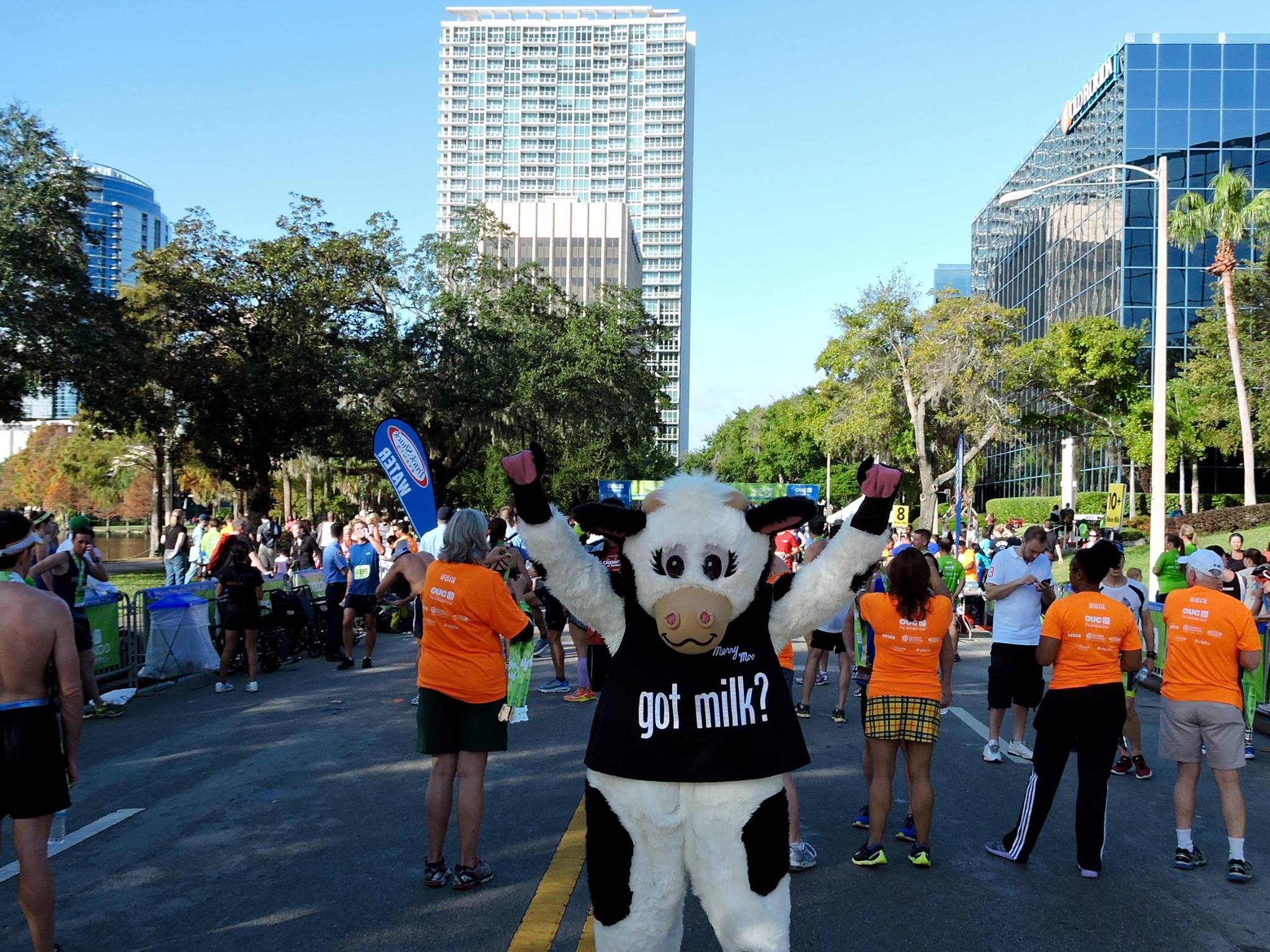 12309818_10156302553730501_5632327247728414328_o