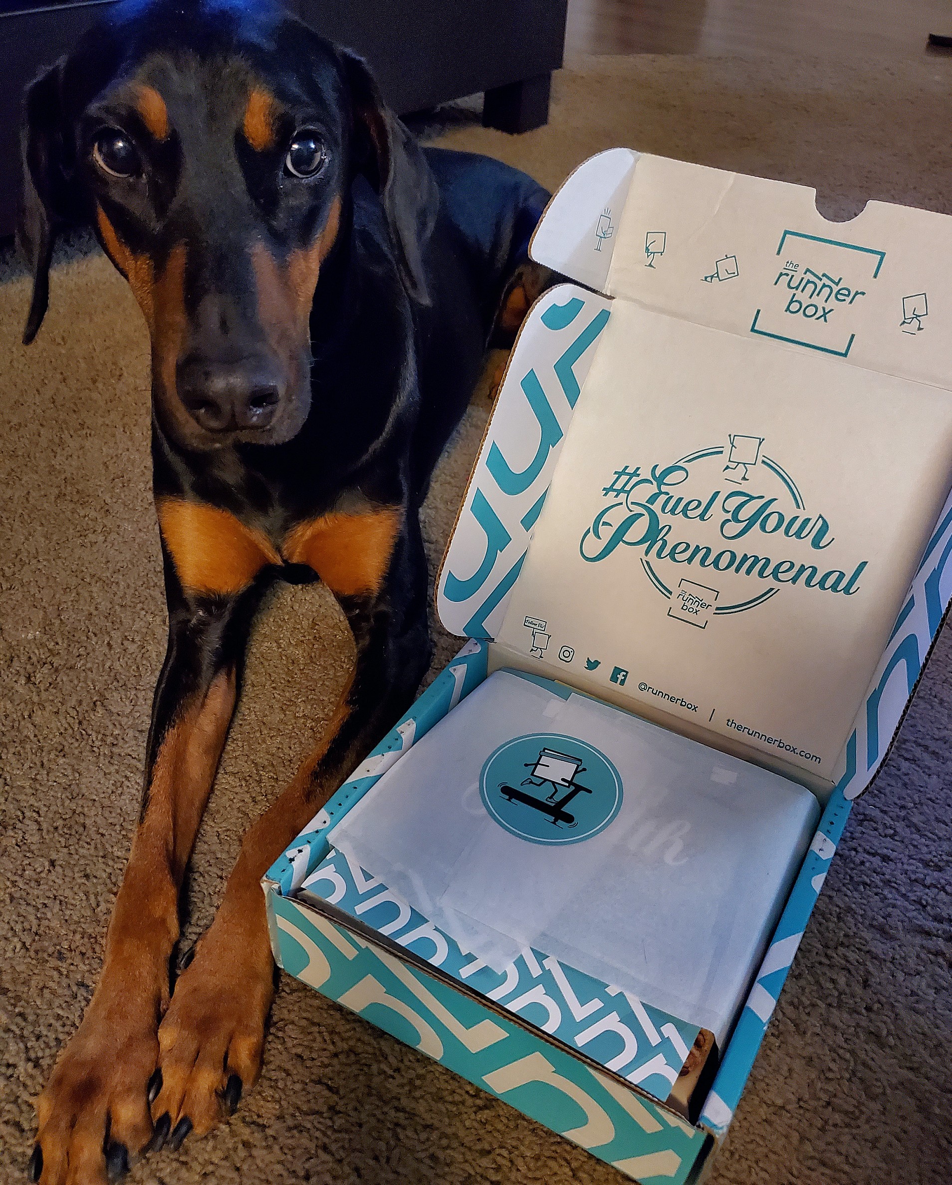 Runners Box Be phenomenal with RunnerBox – Empire Unleashed